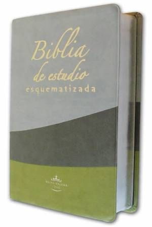 download descargar biblia reina valera 1960 de estudio pdf